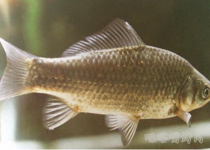 第一次使用微波炉做剁椒烤鱼