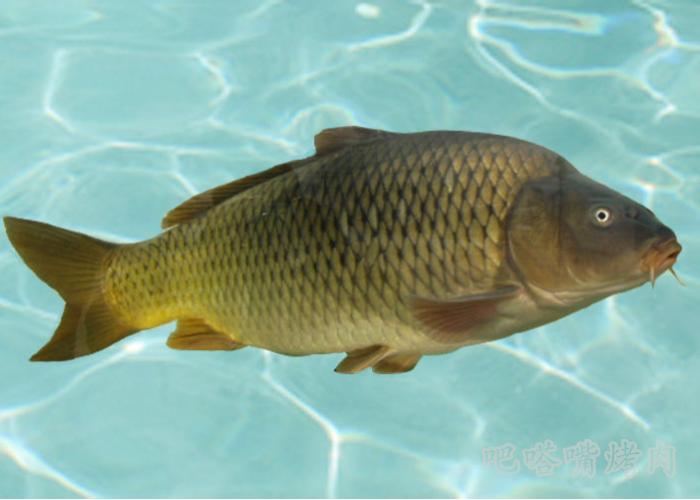 这个夏天懒惰的人也可以轻松做的紫苏烤鱼