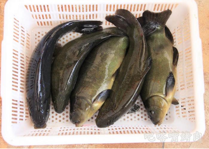 纸包柠檬烤鱼的做法