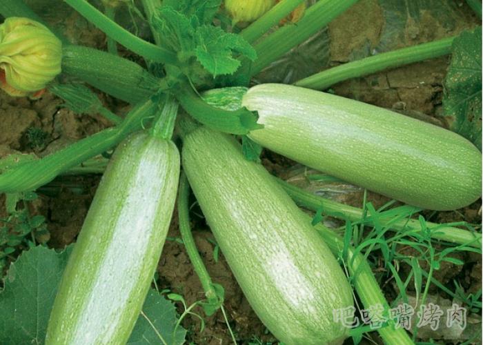 新式泰式烤肉酱西葫芦做法