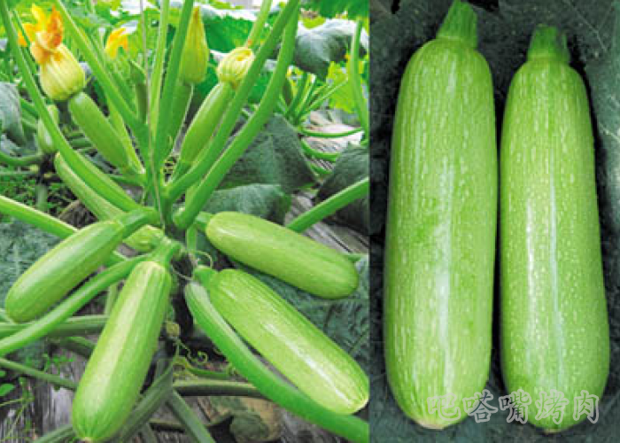 泰式烤肉酱西葫芦做法