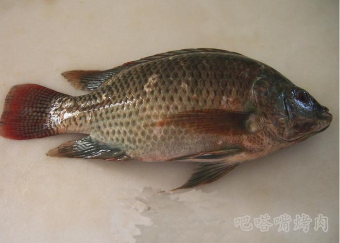 非常简单的麻辣烤鱼做法