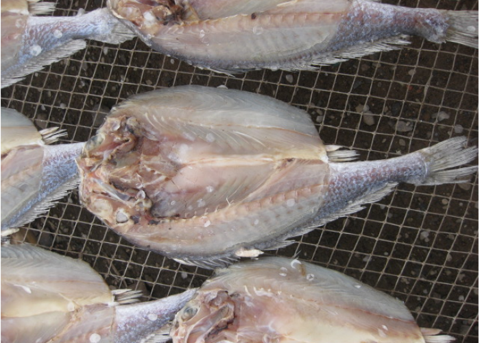 鱼鲞烤肉选肉一定是五花肉